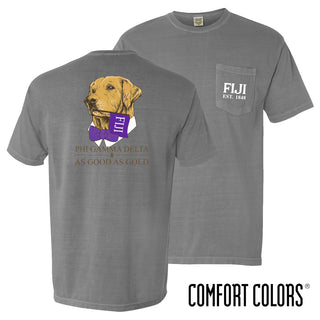 Fraternity Comfort Colors Retriever Flag Tee